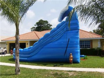 Doppelweg blaue enorme aufblasbare Wal-Wasserrutsche Comercial für Kinder