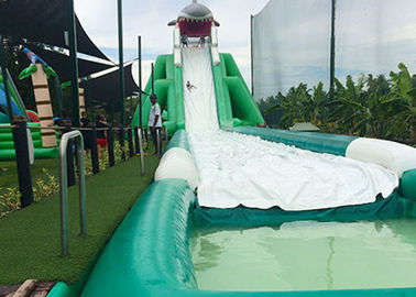 Flusspferd-riesige aufblasbare Wasserrutsche für Erwachsenen, Comercial-Dia-Wasser-Beleg und Dia mit Pool
