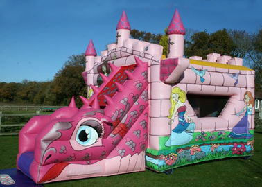 Logo, das rosa Märchen-Schlag-und Dia-aufblasbares kombiniertes Schloss für Kinder druckt