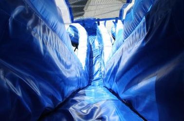 Blau 22 ft-Delphin-Doppeltweg Cali-Ozean-aufblasbare Wasserrutsche mit PVC-Planen-Material
