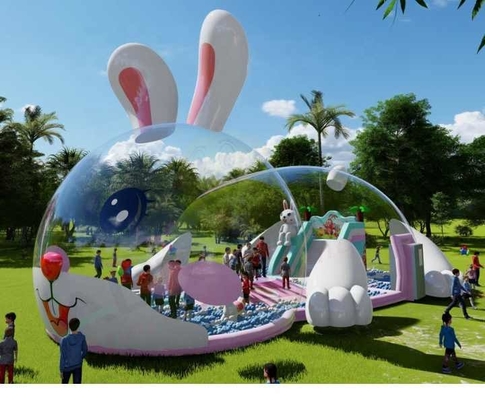 Aufblasbares Spielplatz-Schwein Crystal Palace Transparentes Blase-Zelt mit Ozeanball