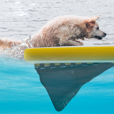 Extragroße aufblasbare Wasserrampe für Boote,Hundebecken aufblasbare leichte Hunderampe weiche Leiter für Hunde, Rung-Plattform