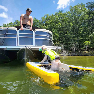 Extragroße aufblasbare Wasserrampe für Boote,Hundebecken aufblasbare leichte Hunderampe weiche Leiter für Hunde, Rung-Plattform