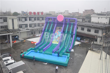 Kühlen Sie die 5 Weg-riesigen aufblasbaren Wasserrutsche mit großem Pool/erwachsenen aufblasbaren Spielen ab