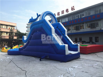 Handelsriese-PVC-Planen-aufblasbare Wasserrutsche mit dem Pool besonders angefertigt