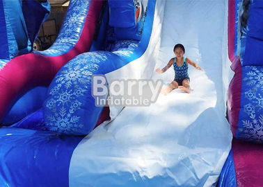 0.55mm PVC gefrorene aufblasbare Wasserrutsche mit Pool/riesigem Unterhaltungs-Wasser-Park-Spiel