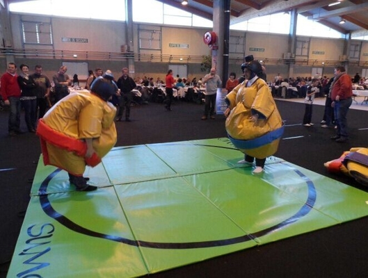 Planen-entspricht aufblasbarer Sumo-Ringkampf wechselwirkenden Sport-Spielen