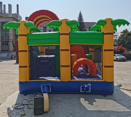 PVC aufblasbarer Tier-Lion Jumping Castle For Kids 5mLX5mWX4mH