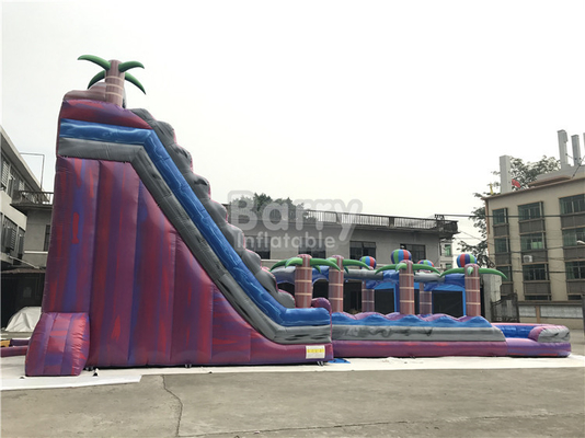Erwachsener aufblasbarer Screamer-kombinierte Wasserrutsche PVC-Plane für im Freien