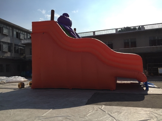 Erwachsene Größe 0.9mm aufblasbare Wasserrutsche-springendes Schloss-Dia PVCs