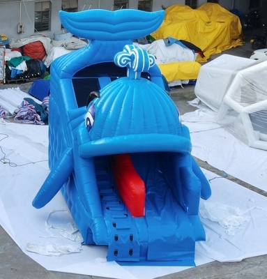 Kommerzieller aufblasbarer Wasserrutsche-Wal-Entwurfs-Haupthinterhof