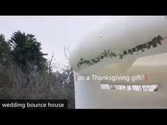 Weißer Hochzeits-Springer PVC-Sprungburg mit Rutsche und Ball-Grube