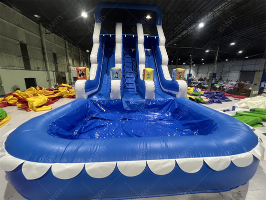 Vergnügungspark im Freien Garten Big Kid Aufblasbare Doppelschienen für Jugendliche Hinterhof