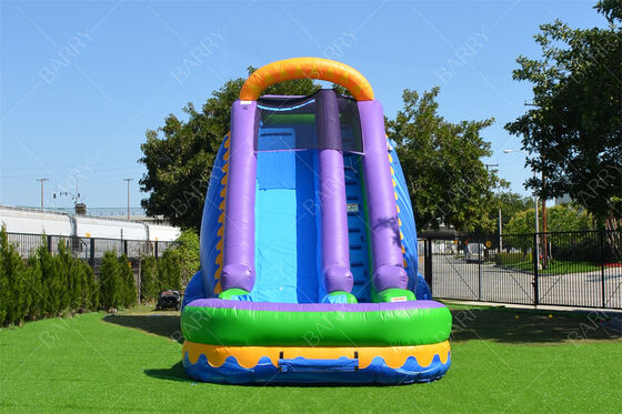 Hot Sale Water Slide Inflatable Commercial Water Slide with Pool for Kids Adult 22ft