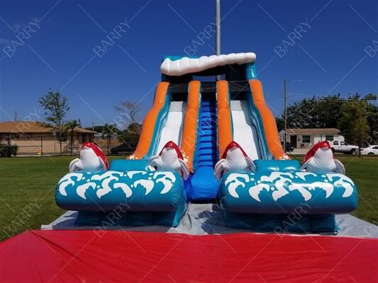 Outdoor Water Slide Big Kahuna Dolphin Theme Inflatable Water Slide With Pool for Kid Adult
