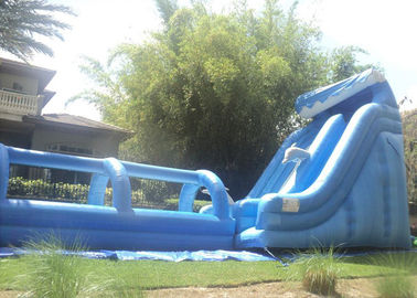 21FT hohes aufblasbares Dia im Freien und 32ft langes Dia Beleg-N aufblasbar/Welle mit Pool