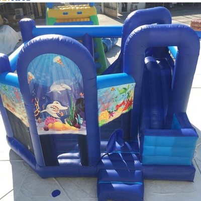 Aufblasbares Dia des Hinterhof-EN71 Prinzessin-Bounce House With
