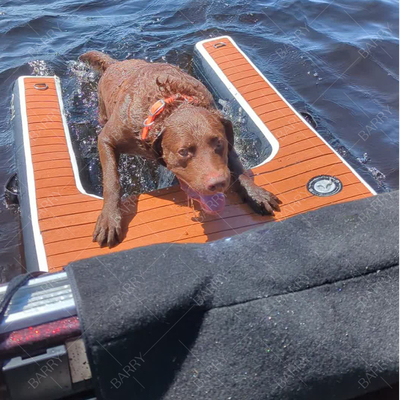 Logo kundenspezifisch akzeptiert klappbare aufblasbare Hundeleiter Schwimmbad für Hunde mit Reparatur-Kits Zubehör